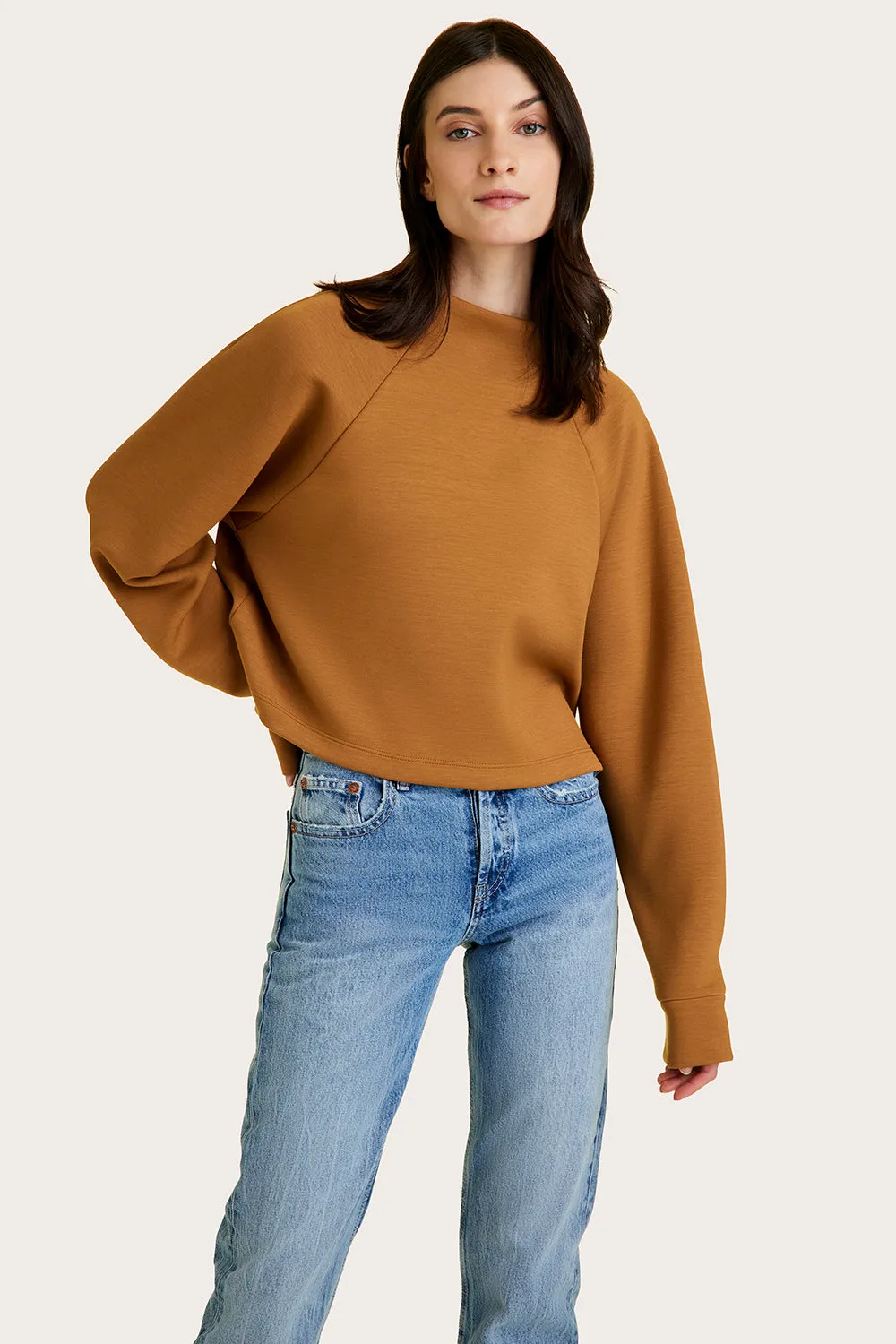 Phoebe Mock Knit