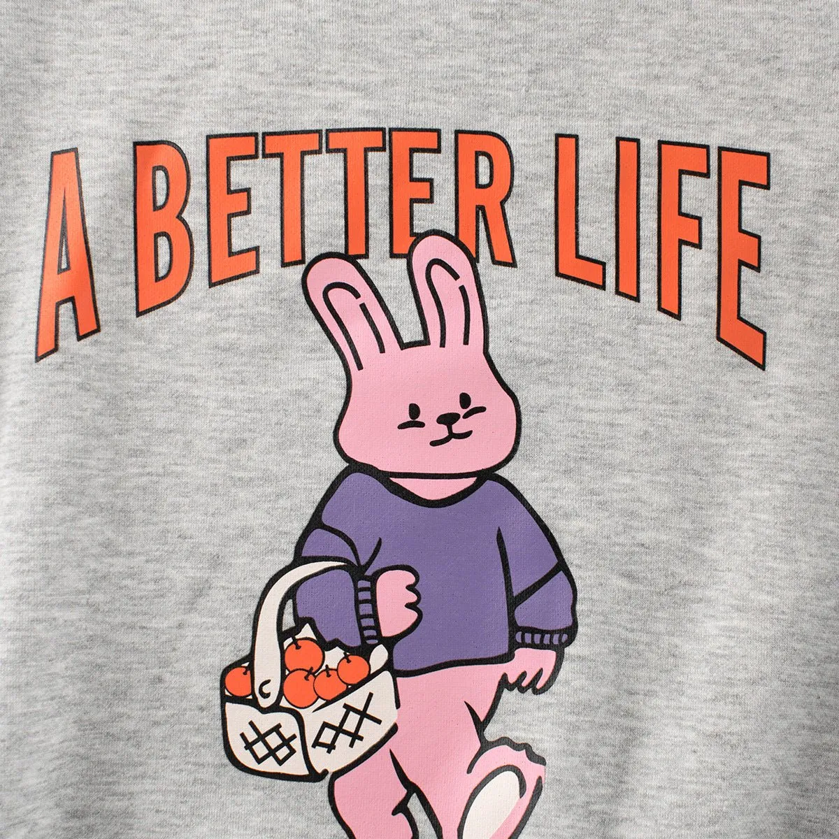 Toddler/Kid Girl's Bunny Print Design Gray Sweatshirt